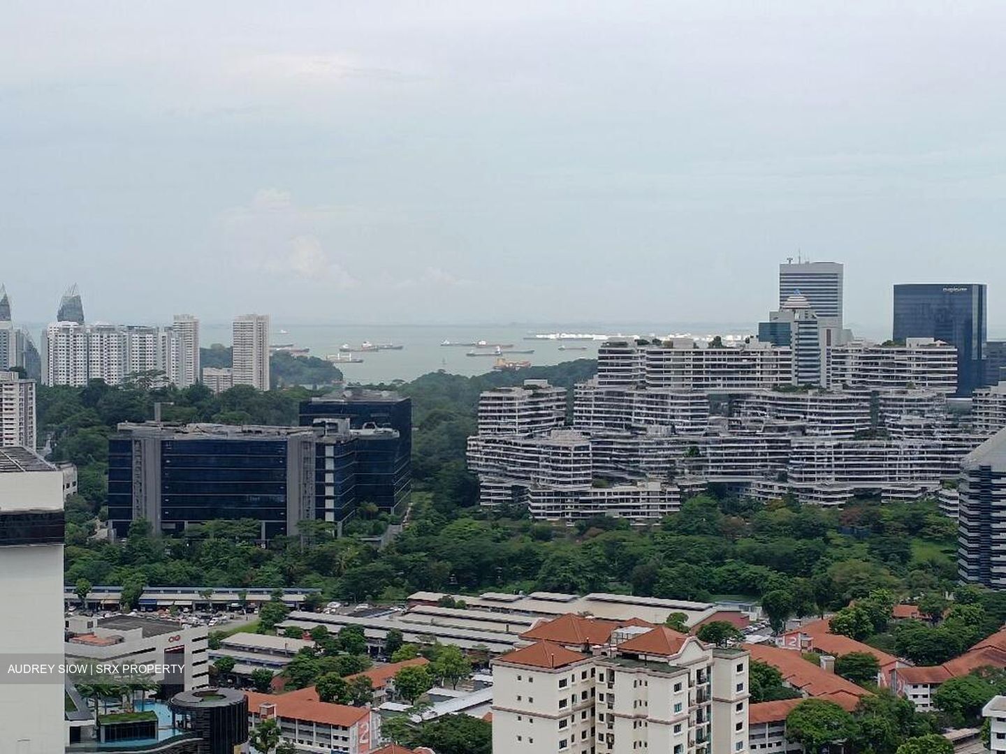 Stirling Residences (D3), Apartment #502092321